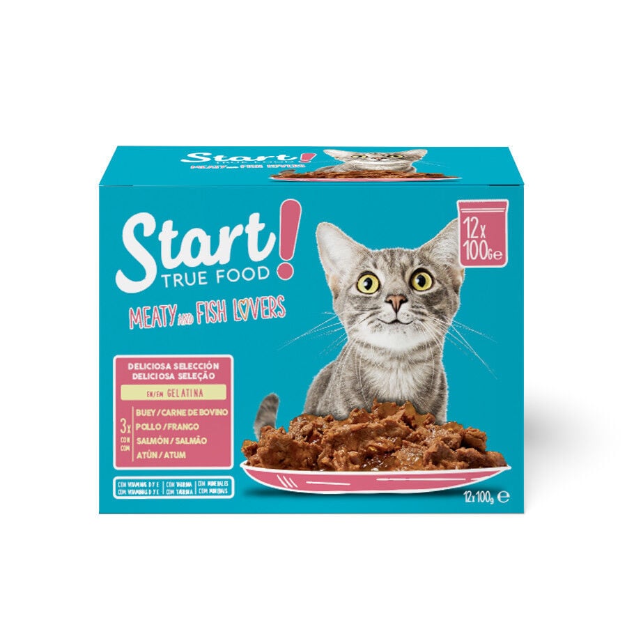 12 latas x 100 g Start Cat Carne con Pollo y Pescado en Gelatina sobre para gatos, , large Imagen numero 1