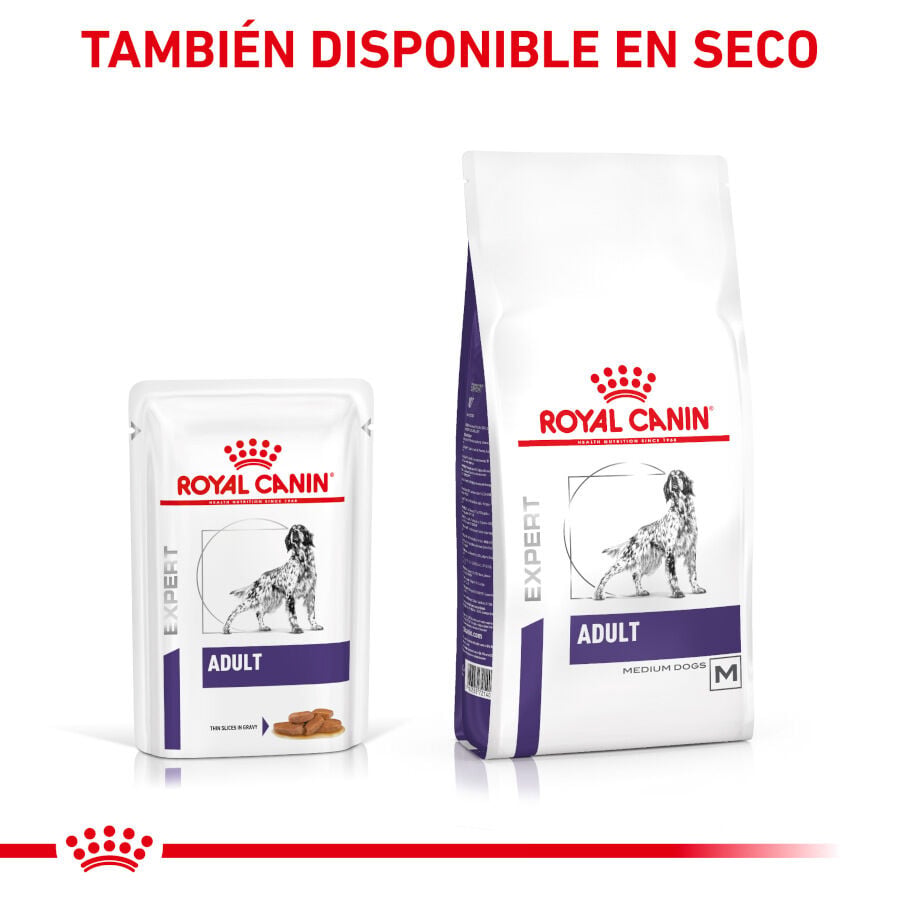 12 sobres x 85 g Royal Canin Expert Adult L&aacute;minas en Salsa sobre para perros, , large indicador imagen numero 6
