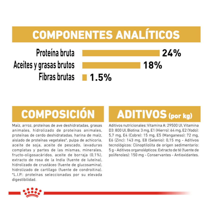 1.5 kg Royal Canin Adult Bich&oacute;n Malt&eacute;s pienso para perros, , large Imagen numero 7
