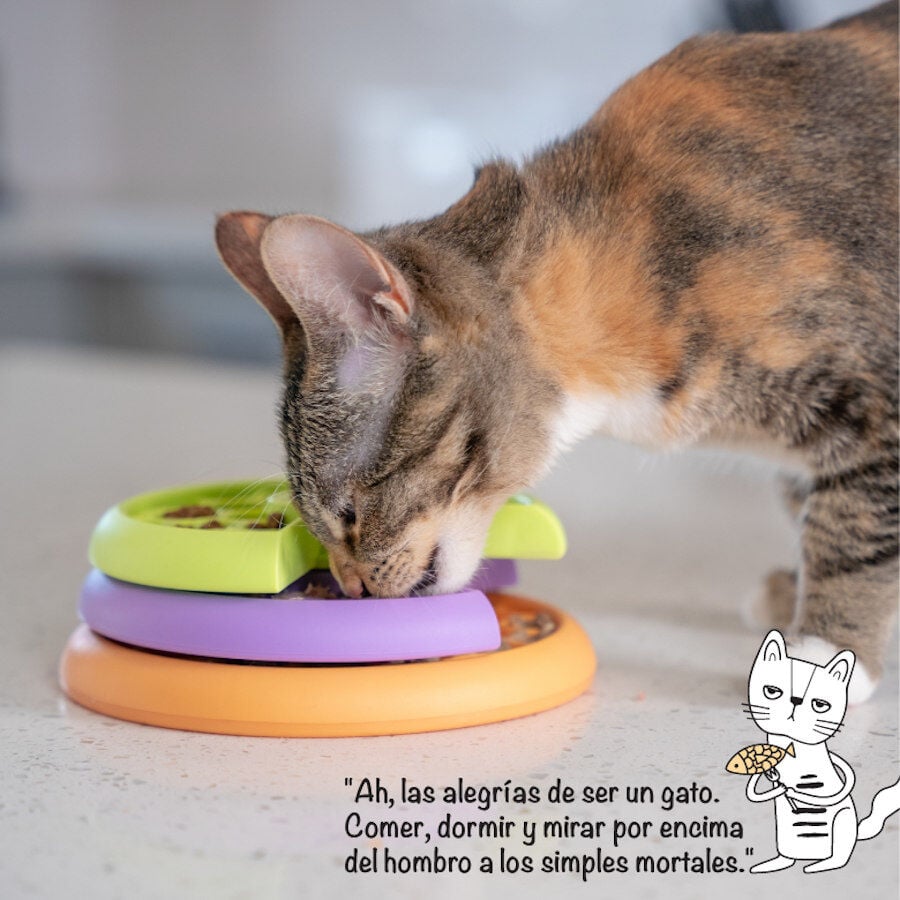 Catstages Nina Ottosson Kitty Lickin&rsquo; Layers Comedero Interactivo para gatos, , large Imagen numero 3