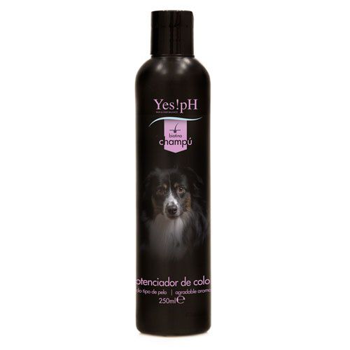 Yes!pH potenciador color champ&uacute; de perros Imagen numero 1