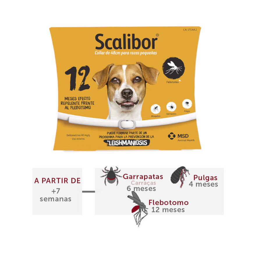 1 collar x 48 cm Scalibor Collar Antiparasitario para perros, , large Imagen numero 2
