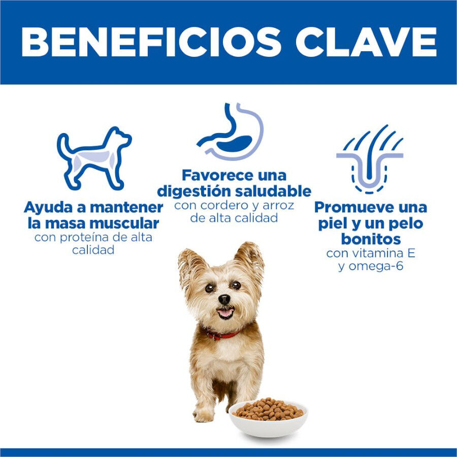 1.5 kg Hill's Science Plan Adult Small y Mini Cordero pienso para perros, , large indicador imagen numero 5