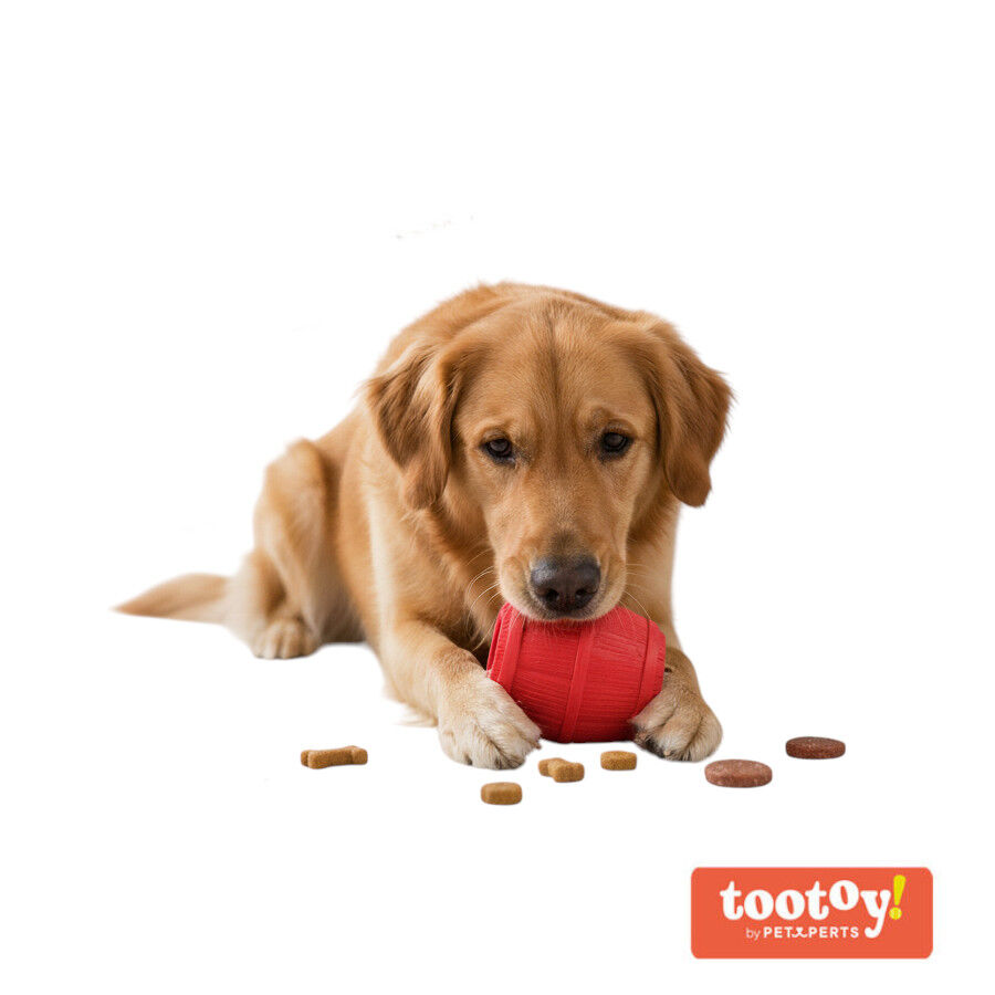 Tootoy! Barril Portagolosinas de Goma Rojo para perros