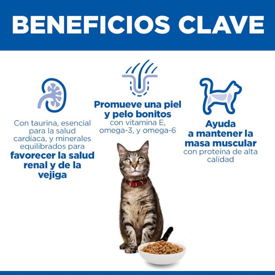 10 kg Hill's Science Plan Adult Cordero pienso para gatos, , large indicador imagen numero 5
