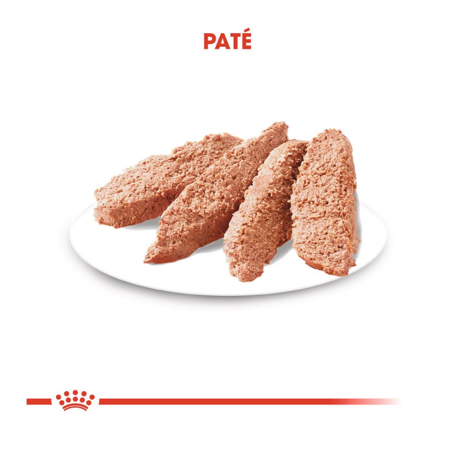 85 g Royal Canin Digestive Care Pat&eacute; sobres para perros, , large indicador imagen numero 3