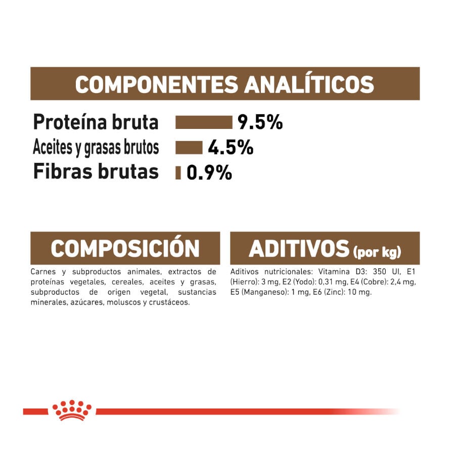 85 g Royal Canin Ageing 12+ gelatina sobres para gatos&nbsp;senior, , large Imagen numero 7