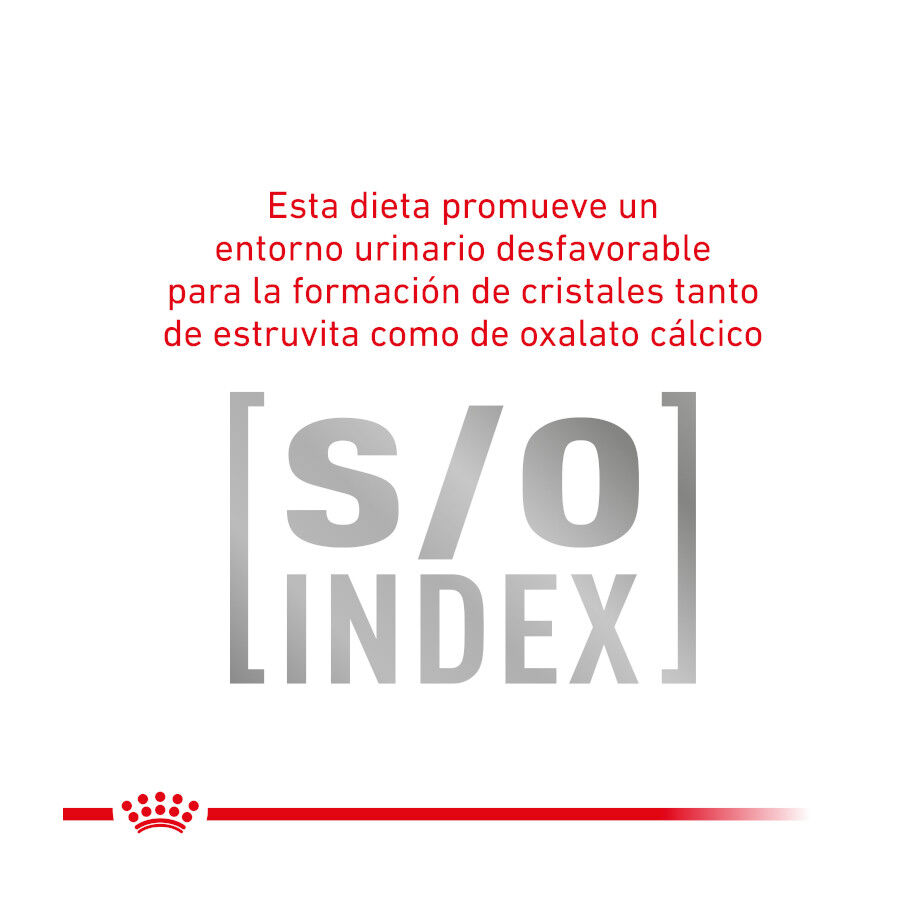 2 kg Royal Canin Veterinary Gastrointestinal Hairball pienso para gatos, , large indicador imagen numero 5