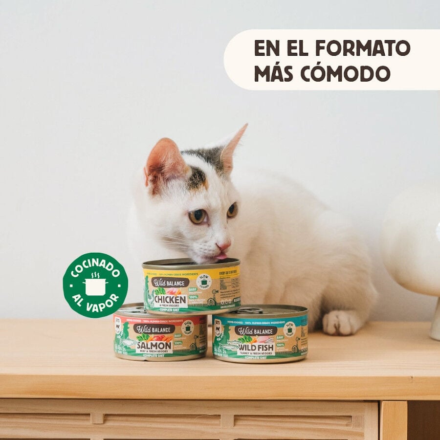 120 g Wild Balance BARF Pollo y Vegetales lata para gatos, , large Imagen numero 3