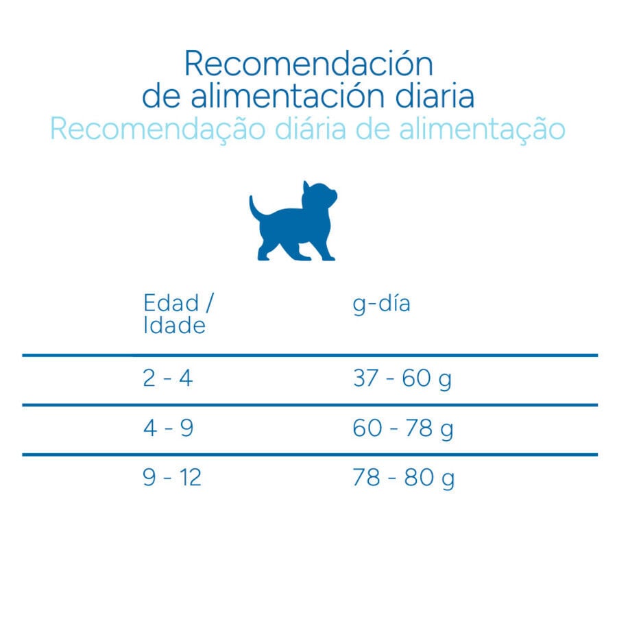 2 kg Criadores Cient&iacute;fico Kitten pollo pienso para gatos&nbsp;, , large indicador imagen numero 9