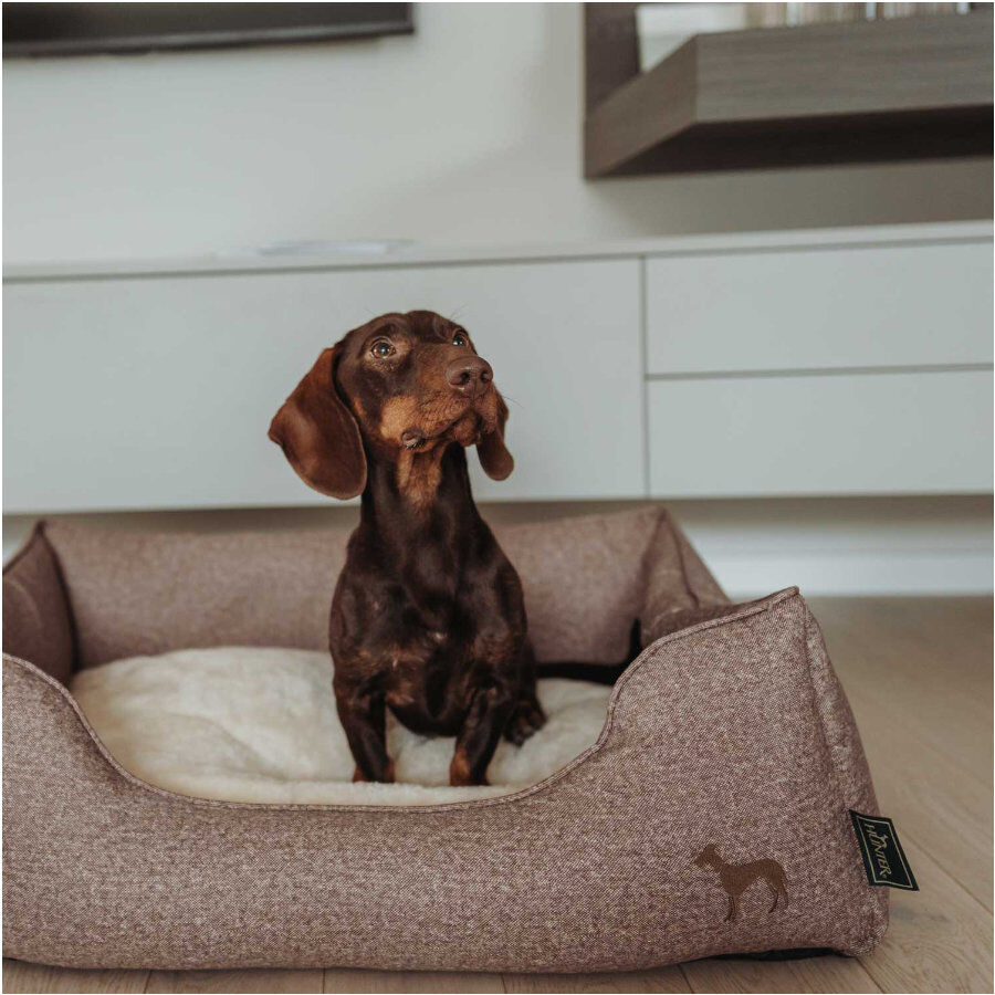 Hunter Boston Cozy Cama Marr&oacute;n para perros, , large indicador imagen numero 4