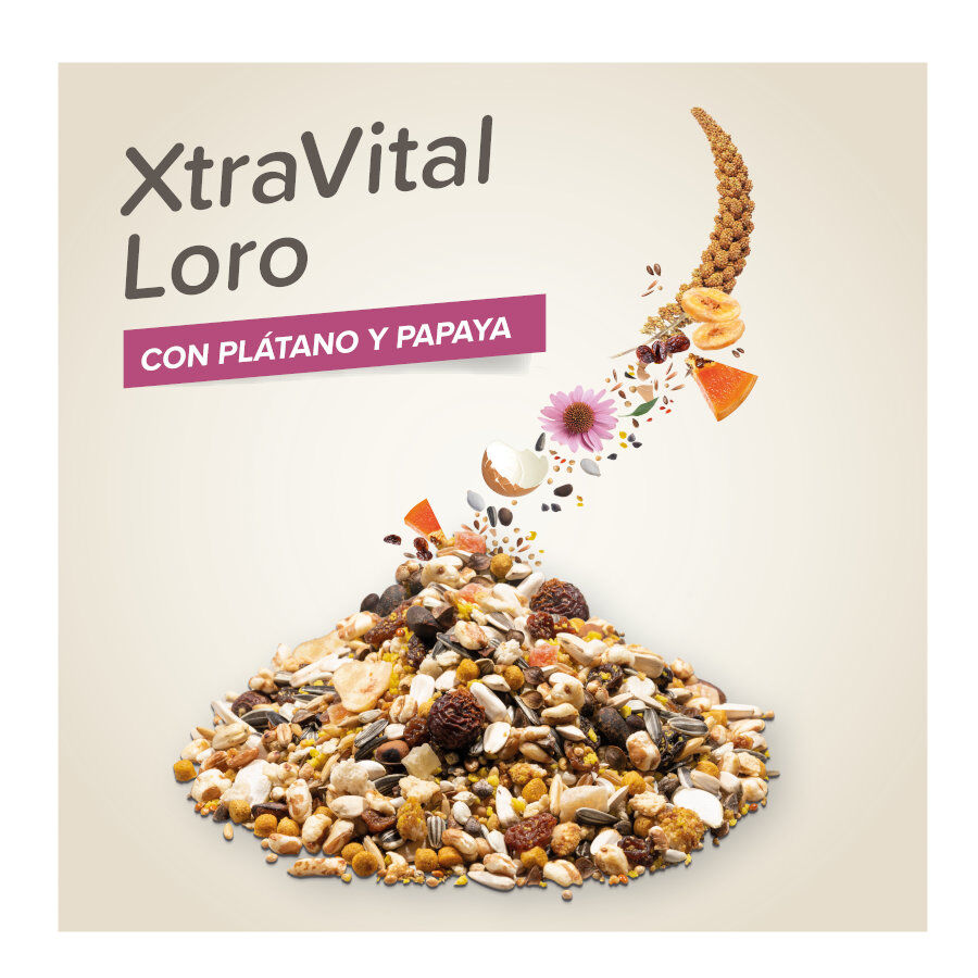 Beaphar XtraVital Comida para loros, , large indicador imagen numero 3