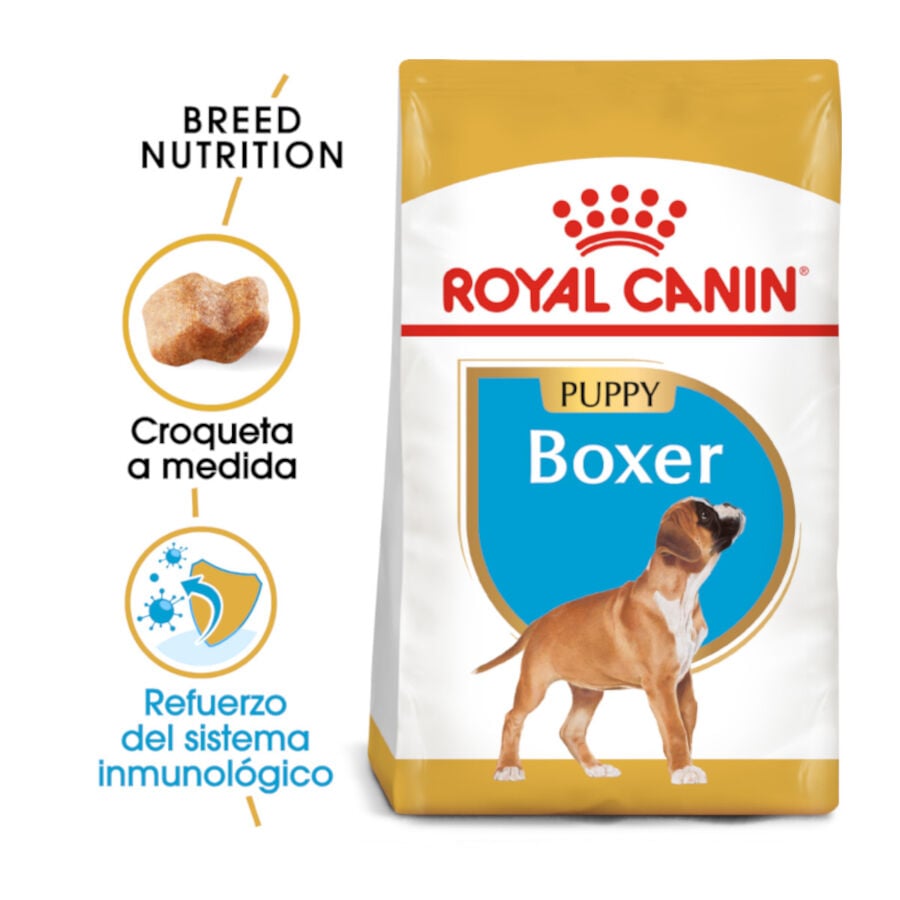 12 kg Royal Canin Puppy Boxer pienso para perros, , large Imagen numero 2