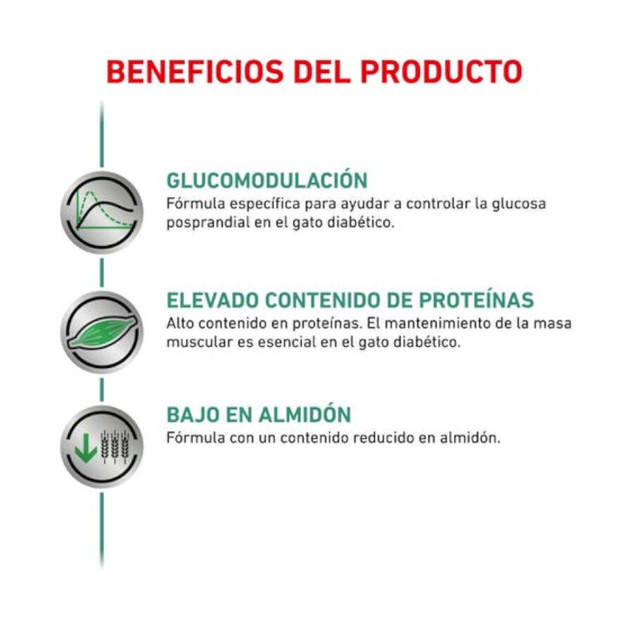 12 sobres x 85 g Royal Canin Veterinary Diet Diabetic sobres para gatos, , large Imagen numero 2