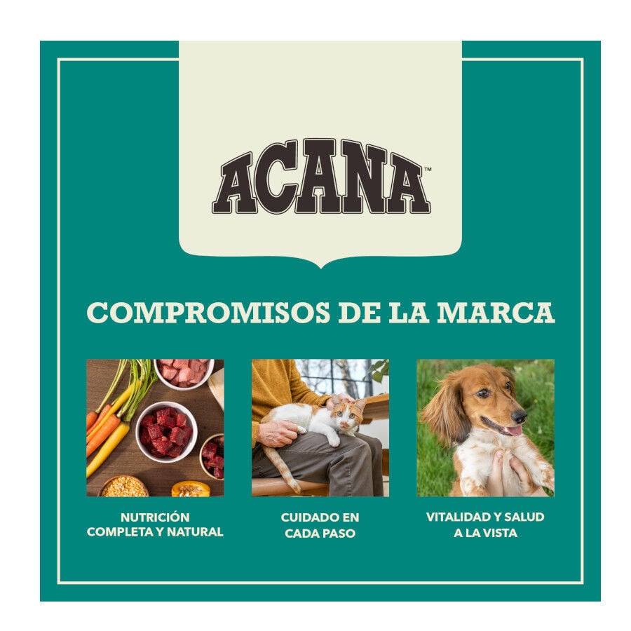 11.4 kg Acana Coldwater Fish pienso para perros, , large Imagen numero 11