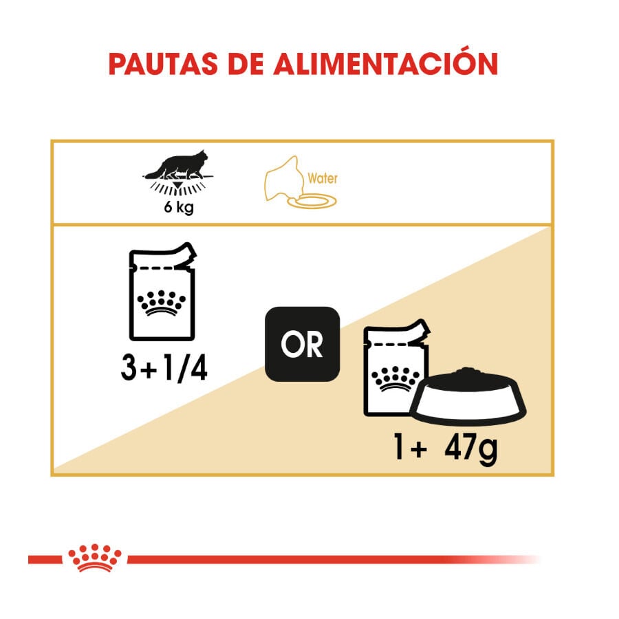 85 g Royal Canin Maine Coon sobres para gatos, , large indicador imagen numero 7