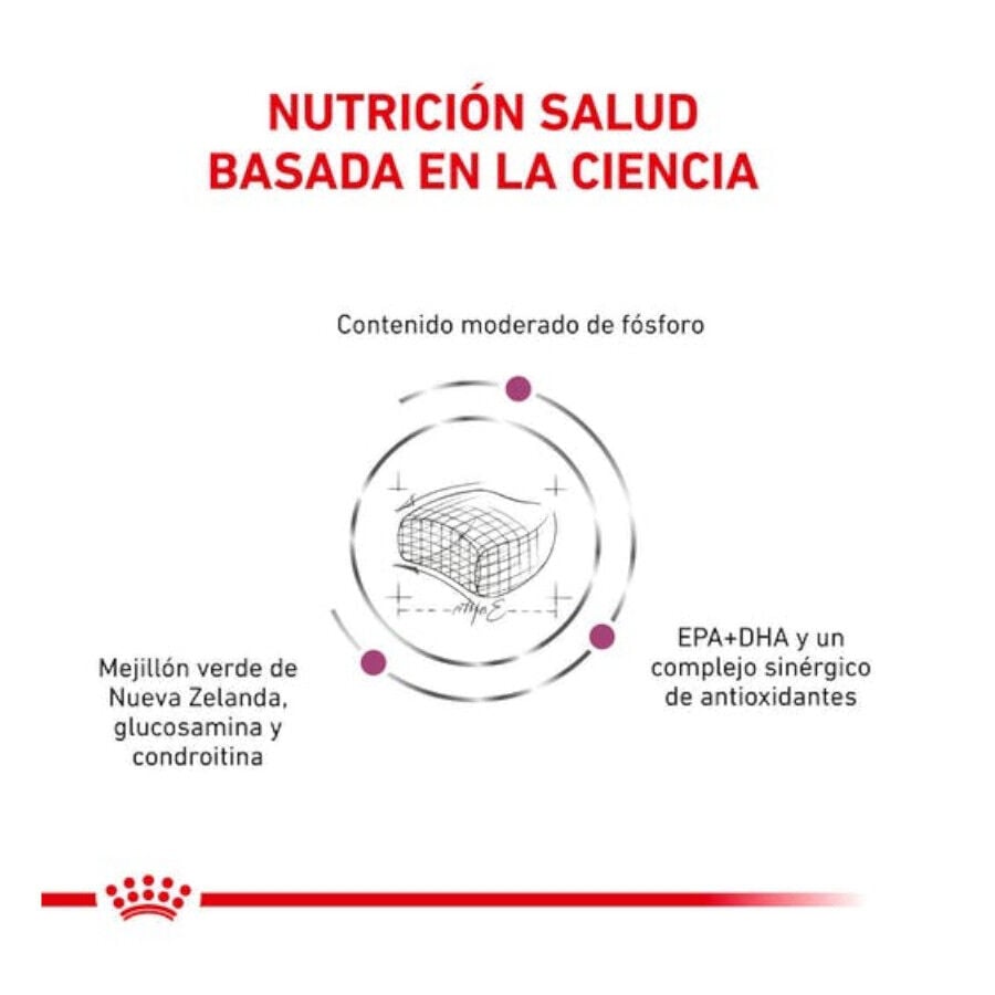 6 kg Royal Canin Veterinary Early Renal pienso para gatos, , large Imagen numero 3