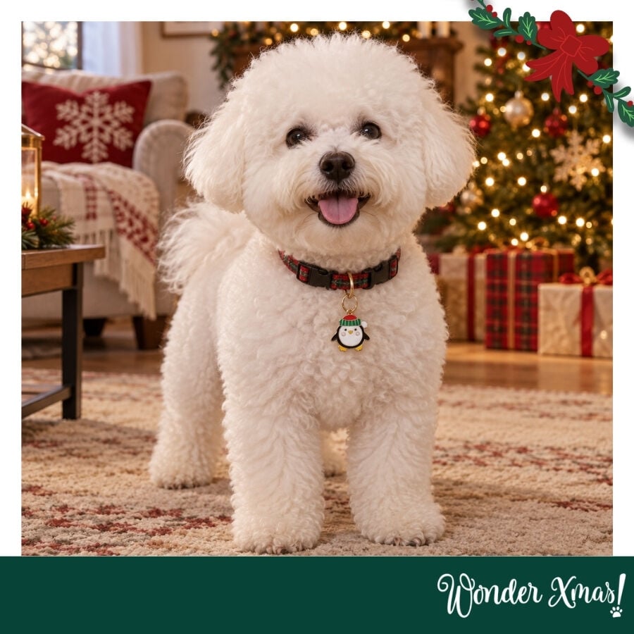 Wonder Christmas Colgante Collar Ping&uuml;ino para perros, , large indicador imagen numero 2