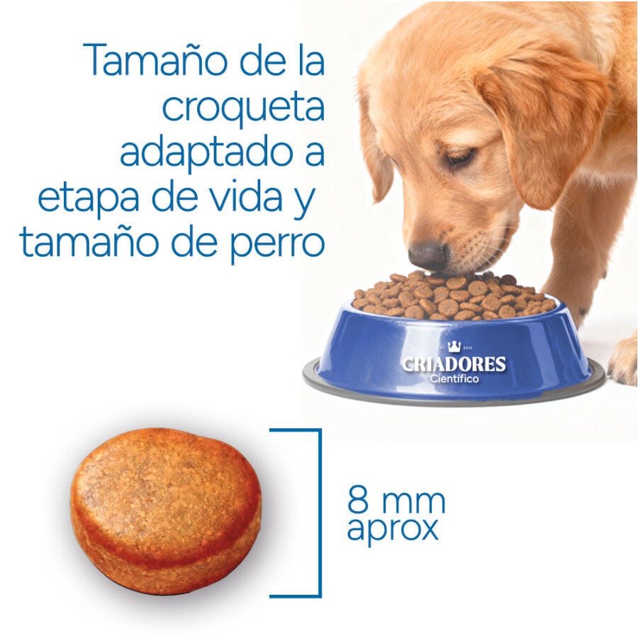 3 kg Criadores Cient&iacute;fico Mini Pienso Pollo para cachorros, , large Imagen numero 7