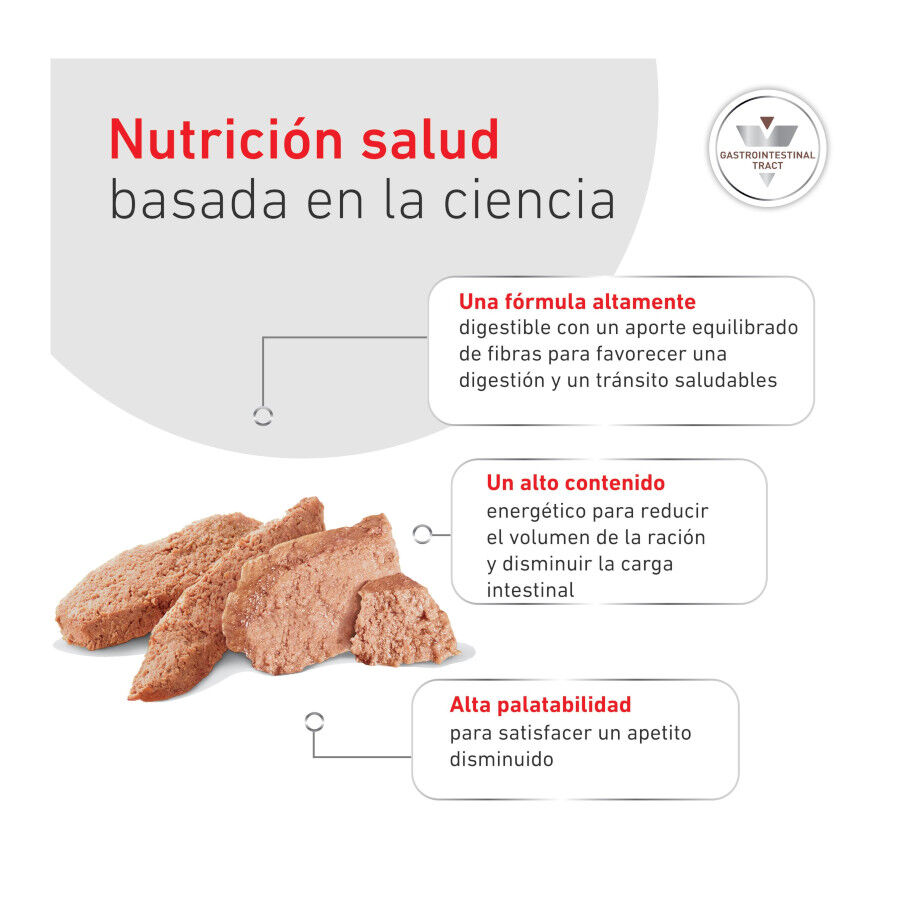 400 g Royal Canin Veterinary Diet Gastrointestinal lata para perros  , , large Imagen numero 6