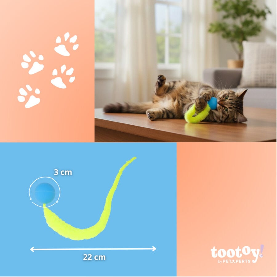 Tootoy! Pelota Interactiva con Cola para gatos, , large indicador imagen numero 4