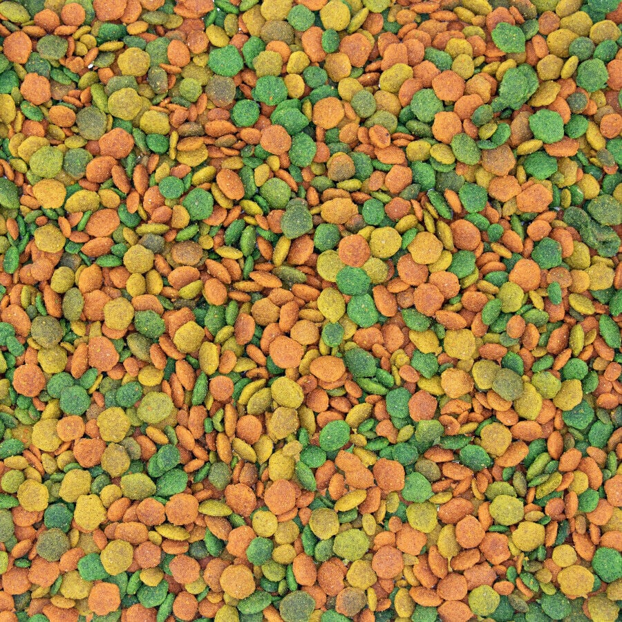 NutriBird G14 Tropical alimento para aves, , large Imagen numero 2