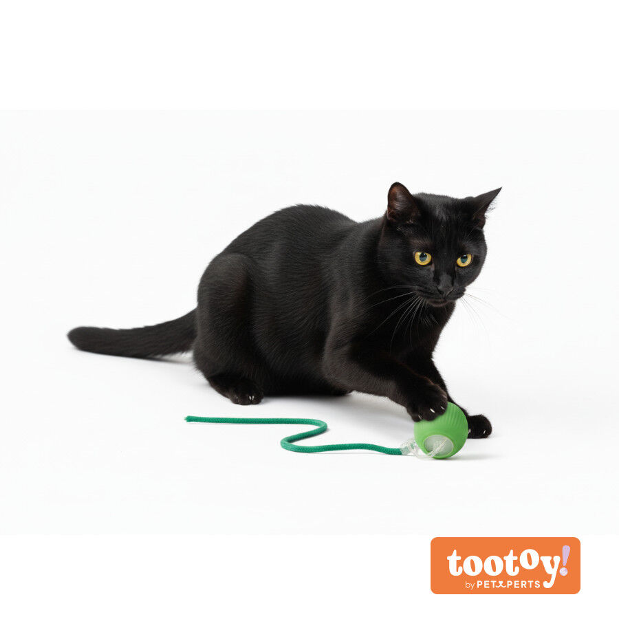 Tootoy! Pelota Interactiva con Luces y Cuerda Verde para gatos, , large indicador imagen numero 9