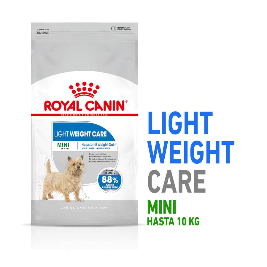 8 kg Royal Canin Mini Light Weight Care pienso para perros, , large indicador imagen numero 2