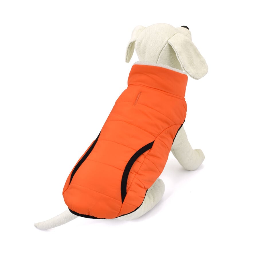 Outech Pawprint Abrigo para perros, , large indicador imagen numero 1