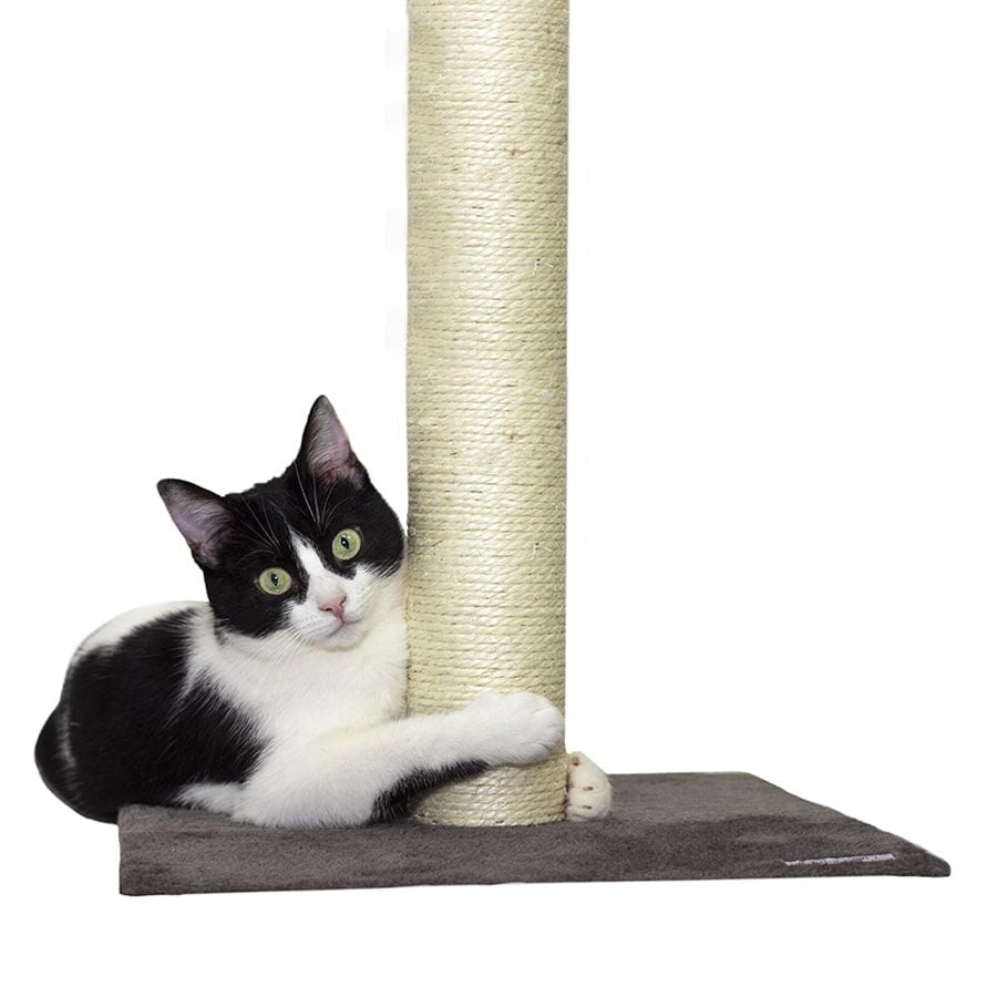 Rascador Catshion Pole Gris varios tama&ntilde;os indicador imagen numero 2