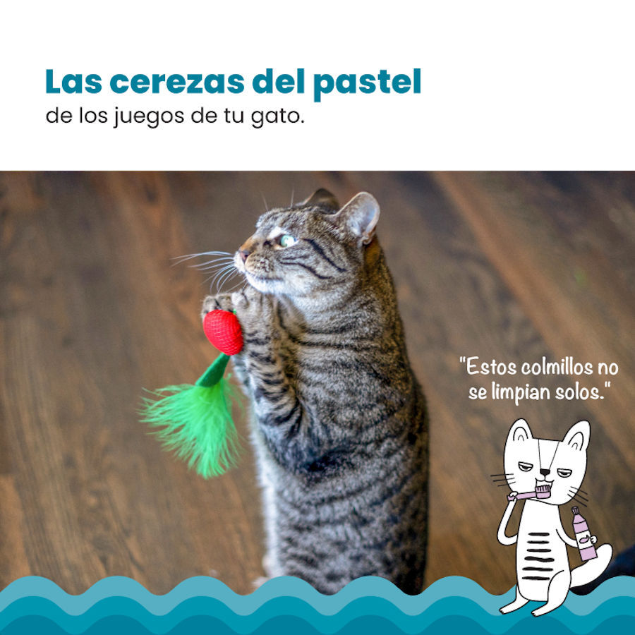 Catstages Dental Cherries Peluche Suave de Cerezas para gatos, , large Imagen numero 6