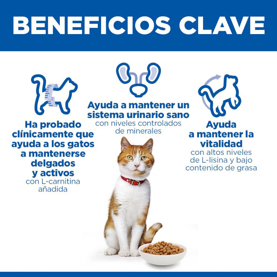 7 kg Hill's Science Plan Sterilised Adult Salm&oacute;n pienso para gatos, , large Imagen numero 5