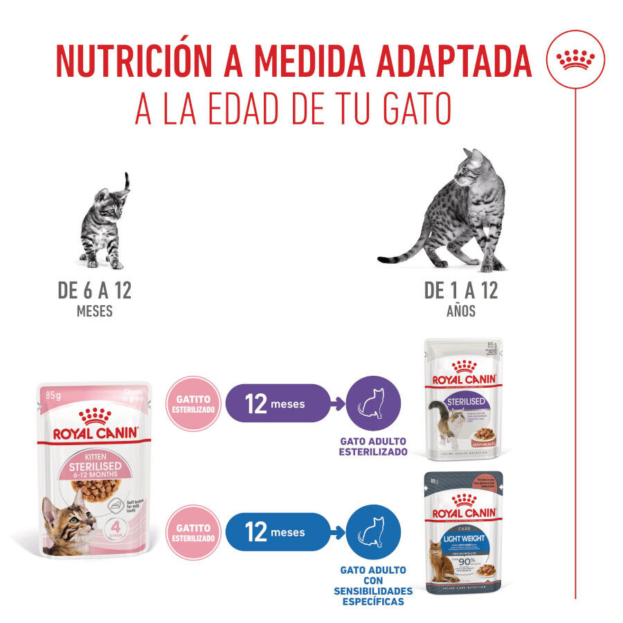 85 g Royal Canin Kitten Sterilised salsa sobre para gatos, , large indicador imagen numero 6