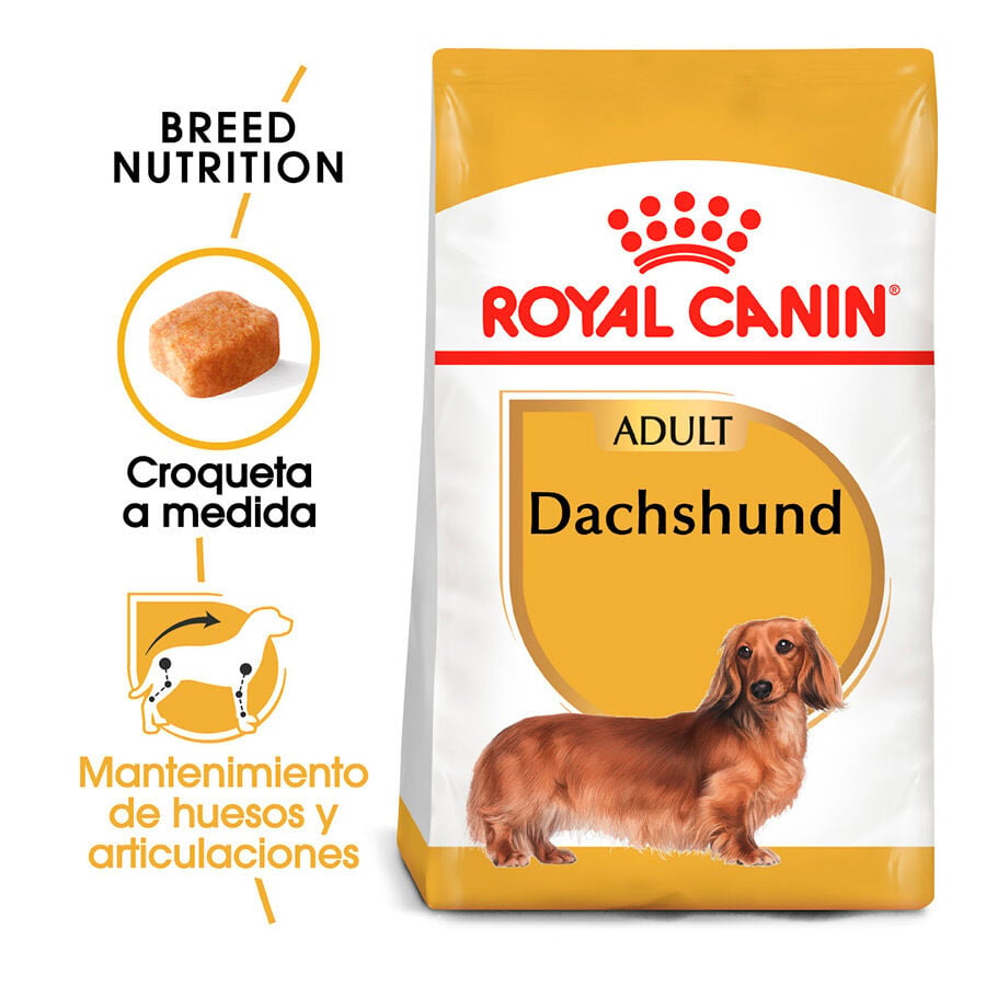 7.5 kg Royal Canin Adult Dachshund pienso para perros, , large indicador imagen numero 2