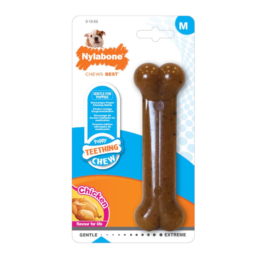 Nylabone Chew Pollo Hueso Mordedor para cachorros, , large Imagen numero 1