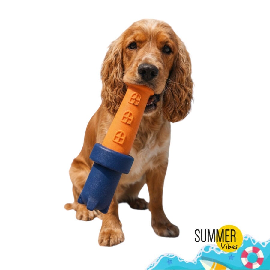 Summer Vibes Faro Flotante Mordedor Juguete para perros, , large indicador imagen numero 6