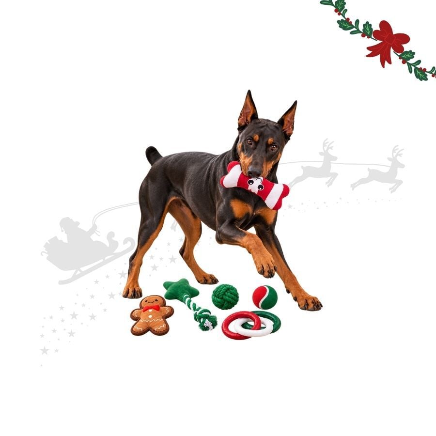 Wonder Christmas Cesta de Juguetes Premium Juguete para perros, , large Imagen numero 1