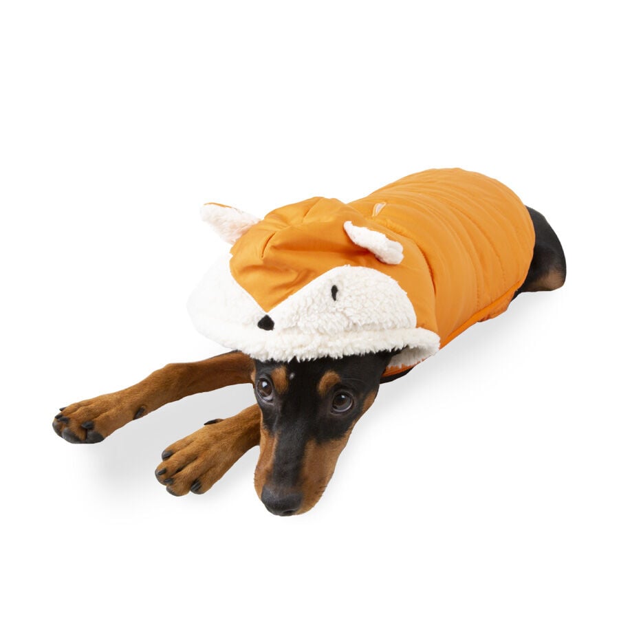 Outech Fox Abrigo para perros, , large Imagen numero 1