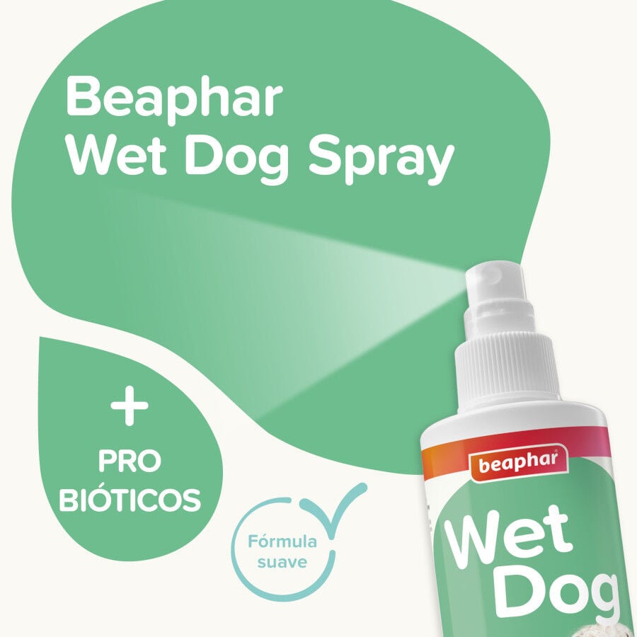 Beaphar Wet dog spray antiolor para perros, , large Imagen numero 2