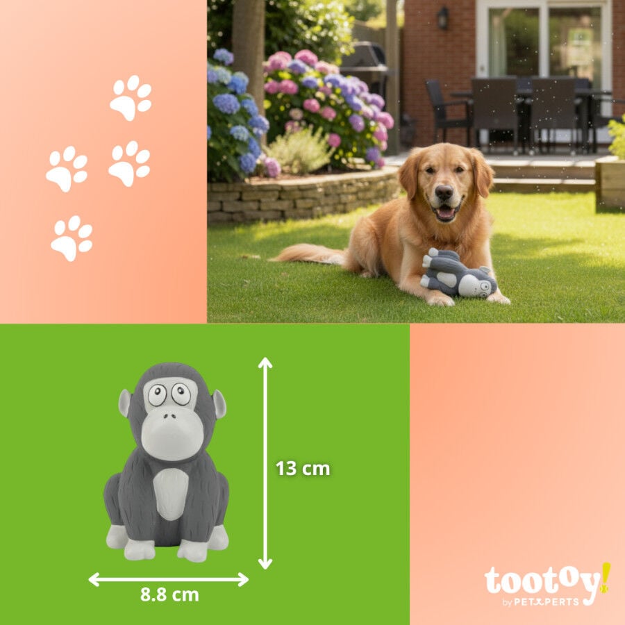 Tootoy! Gorila Mordedor con Sonido para perros, , large Imagen numero 4