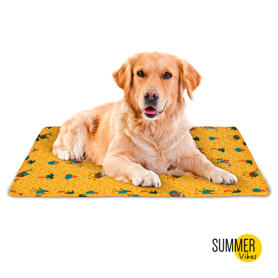 Summer Vibes Camel Colch&oacute;n Refrescante para perros, , large indicador imagen numero 2