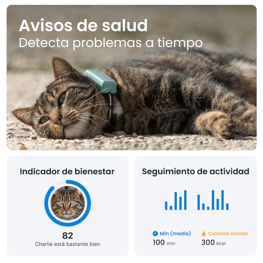 Tractive Cat Mini Localizador GPS Menta para gatos, , large indicador imagen numero 7