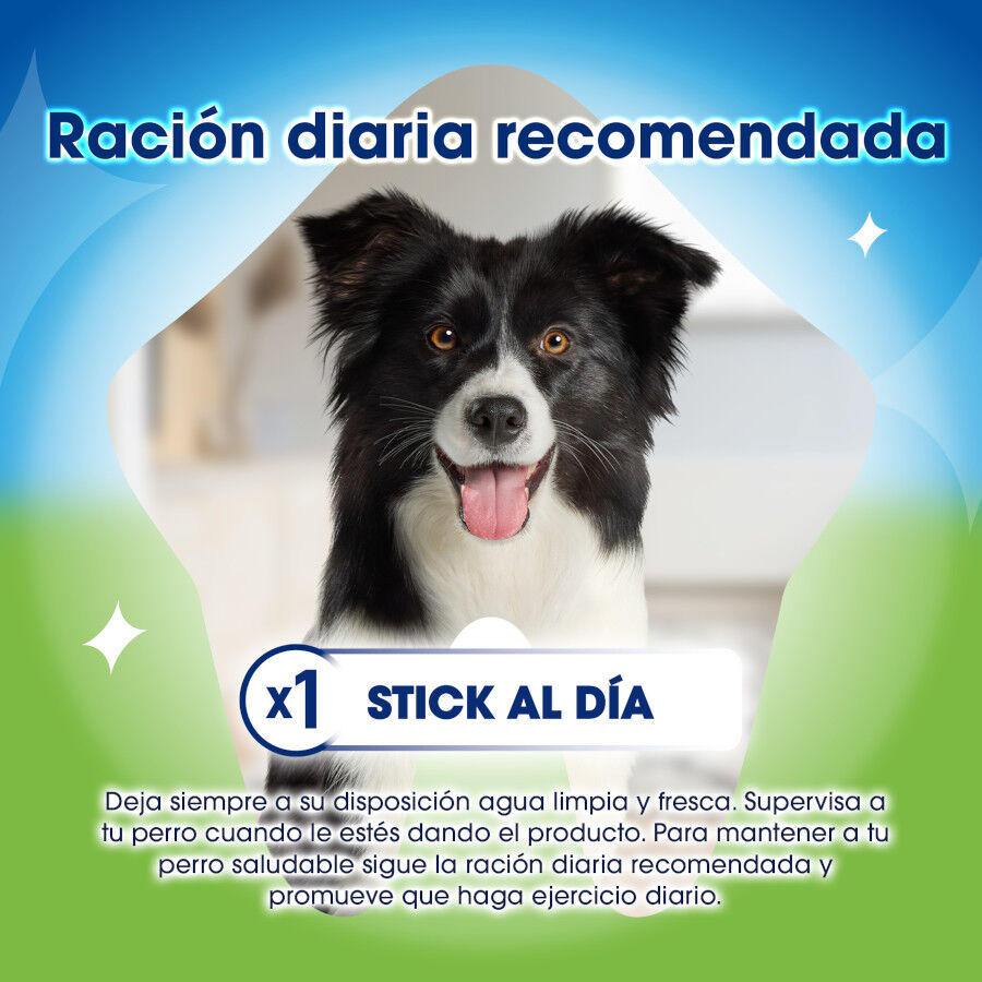 5 barritas Dentalife Snacks Dentales Medium ActivFresh para perros, , large Imagen numero 4