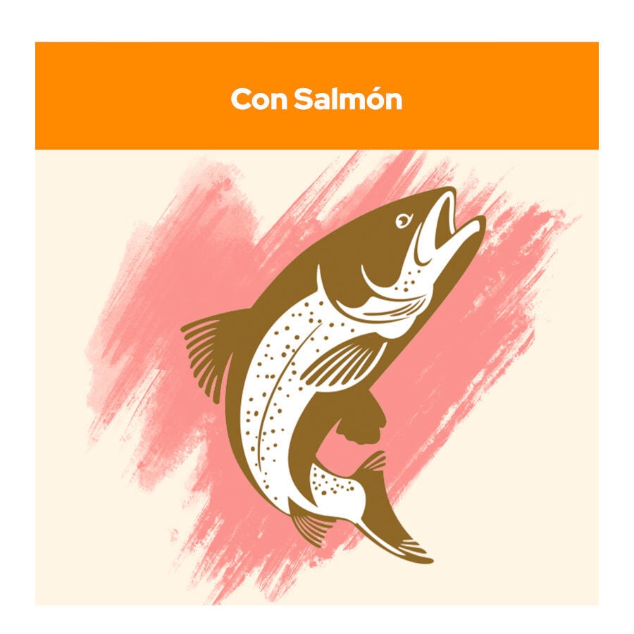 15 kg Cat Chow Adult Salm&oacute;n Pienso para gatos, , large Imagen numero 4