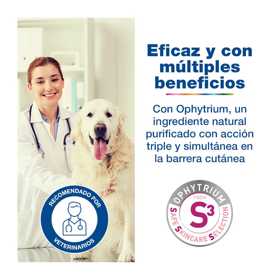 Douxo S3 Calm Champ&uacute; para perros y gatos, , large Imagen numero 4