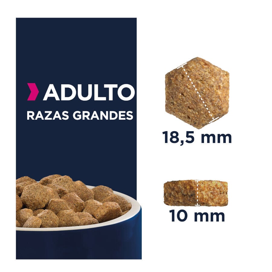 15 kg Eukanuba Adult Large Pollo pienso para perros, , large Imagen numero 4