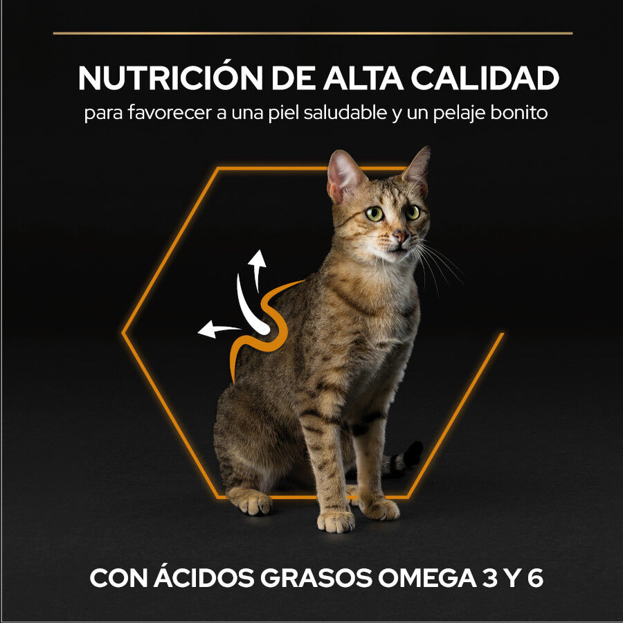 3 kg Pro Plan Adult OptiDerma Salm&oacute;n pienso para gatos, , large Imagen numero 6