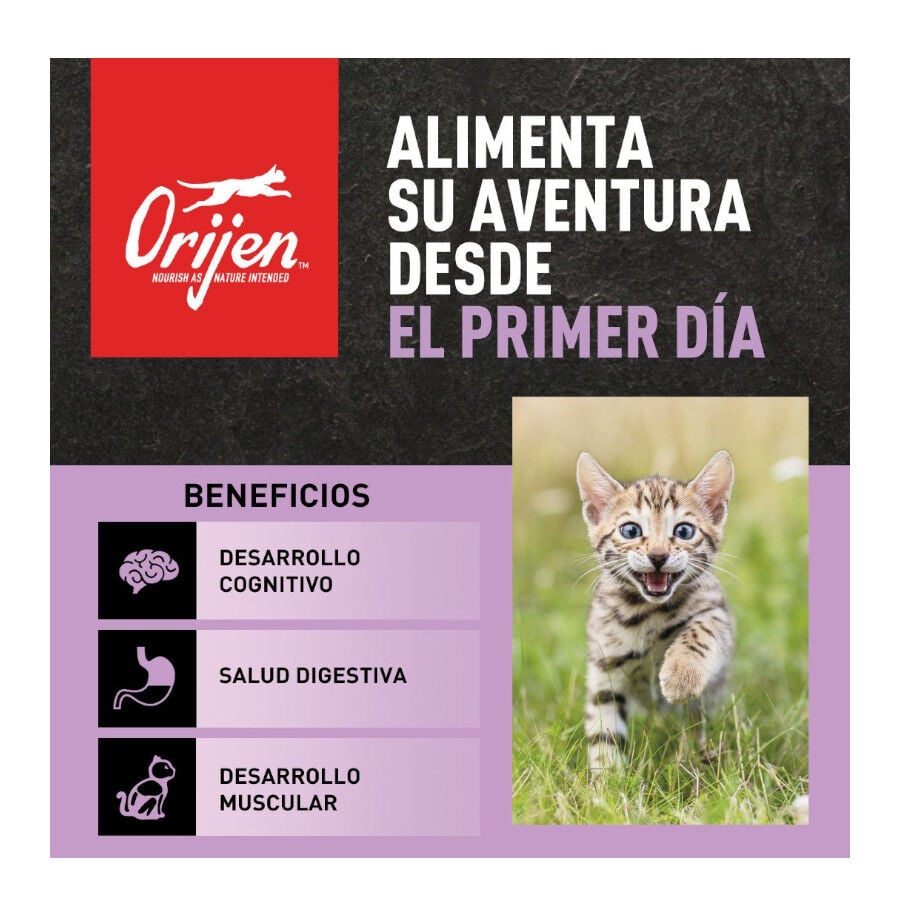 1.8 kg Orijen Kitten Pollo con Pavo y Salm&oacute;n pienso para gatos&nbsp;, , large Imagen numero 2