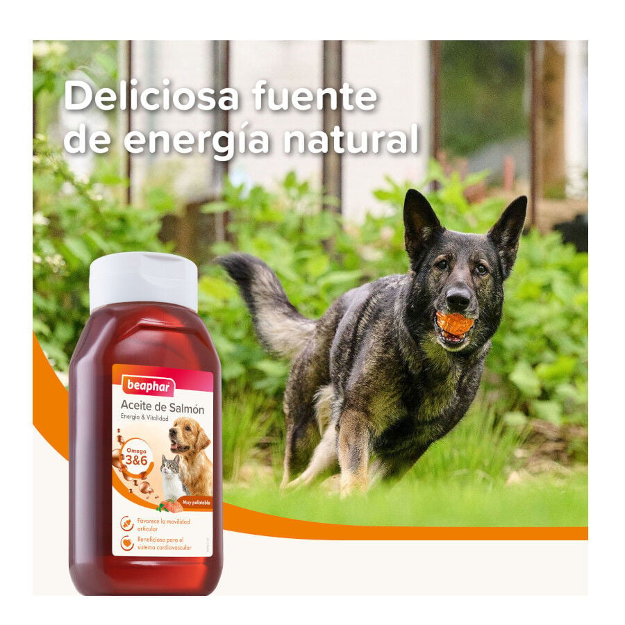 425 ml Beaphar Aceite de Salm&oacute;n para perros y gatos, , large indicador imagen numero 3