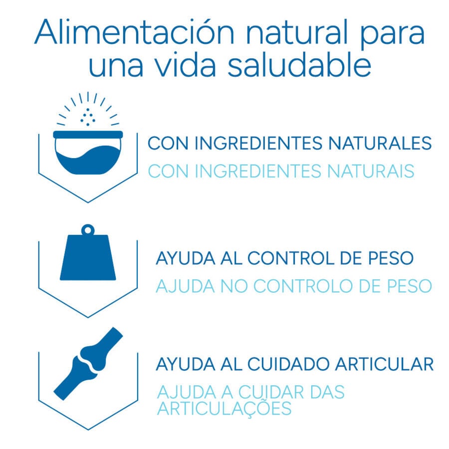 12 kg Criadores Cient&iacute;fico Senior Pienso para perros de razas medianas y grandes, , large Imagen numero 6